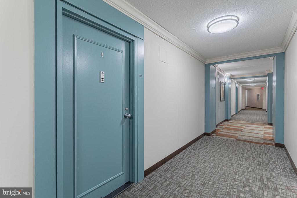 203 YOAKUM PARKWAY 215