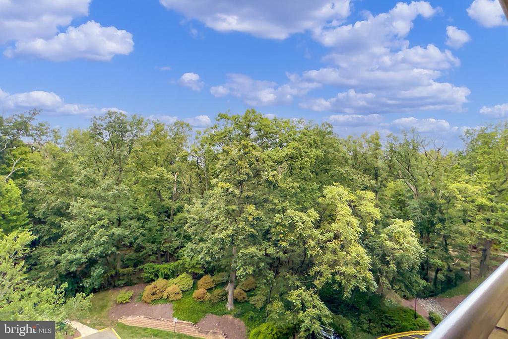 205 YOAKUM PARKWAY 822