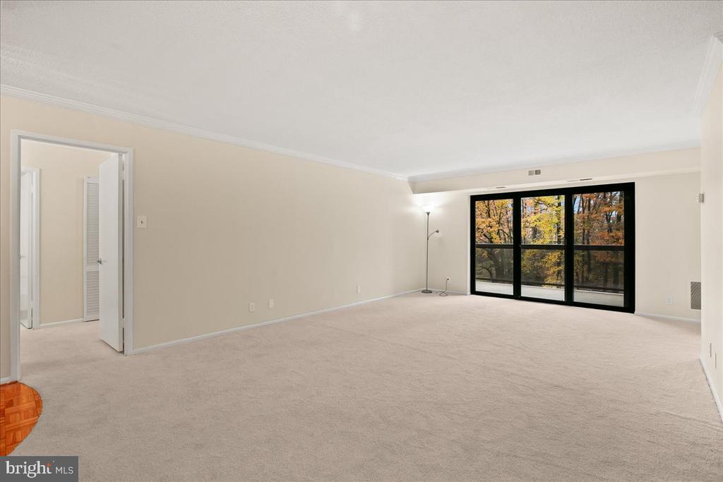 203 YOAKUM PARKWAY 519