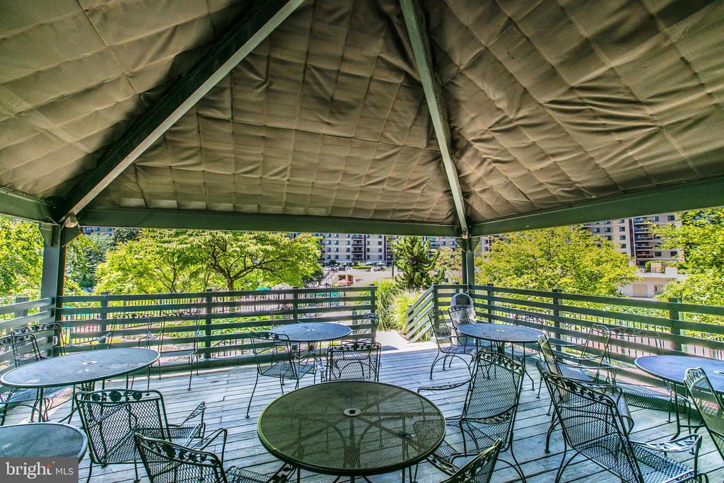 203 YOAKUM PARKWAY 519