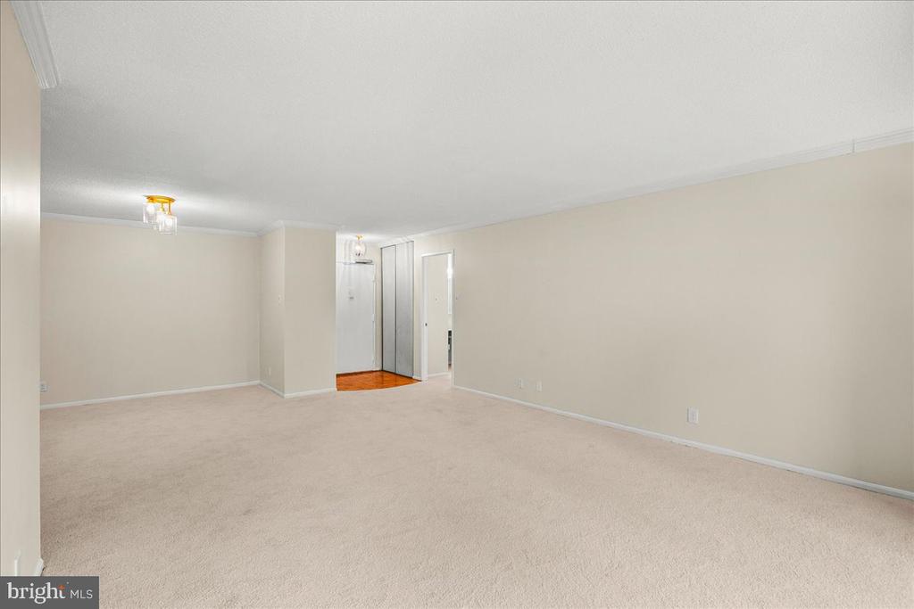 203 YOAKUM PARKWAY 519