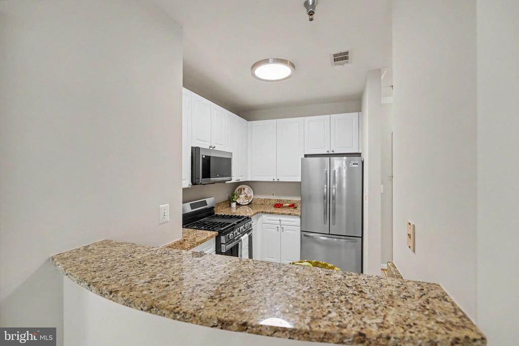 171 SOMERVELLE STREET Unit: 205