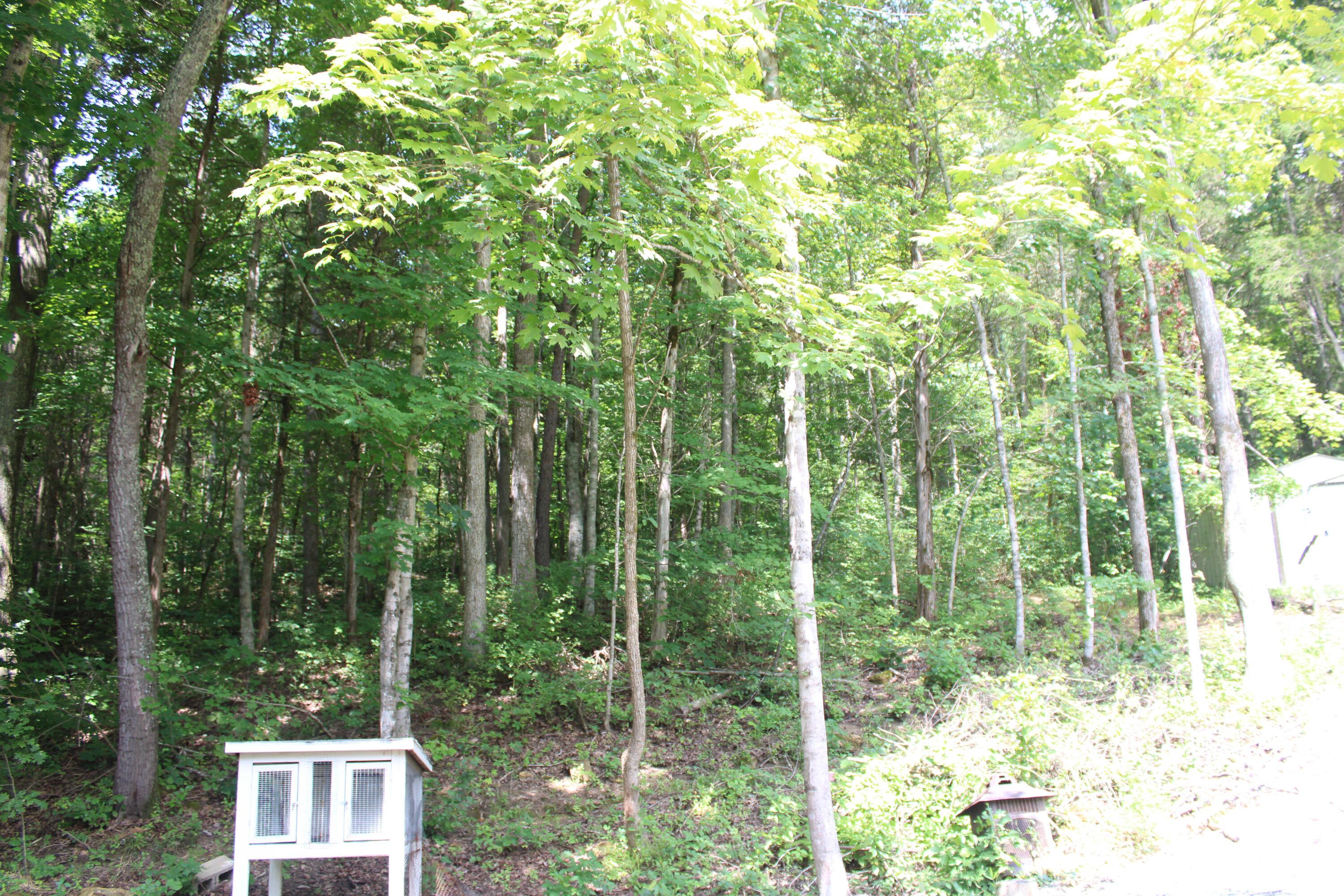 598 State Route 348