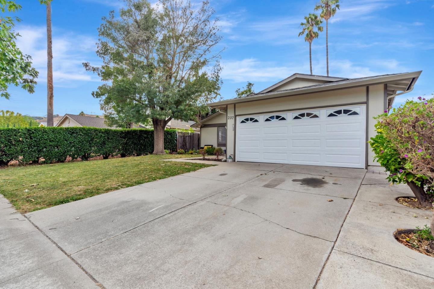 237 Arbor Valley Drive
