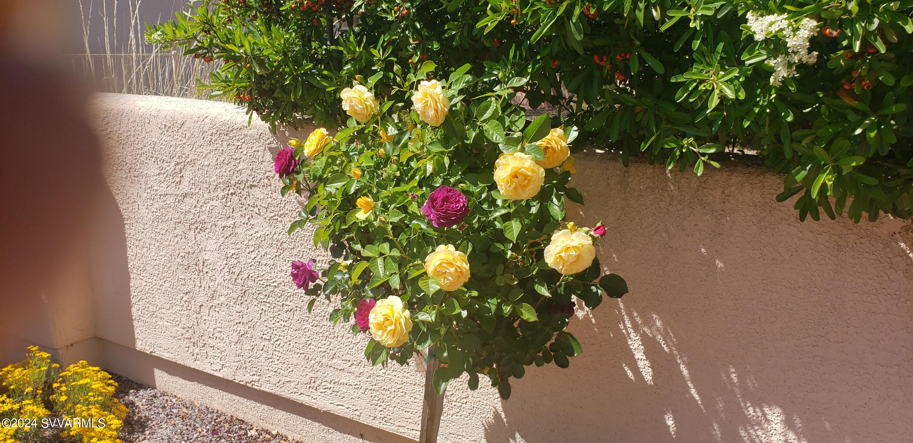 6070 E Pine Crest Court