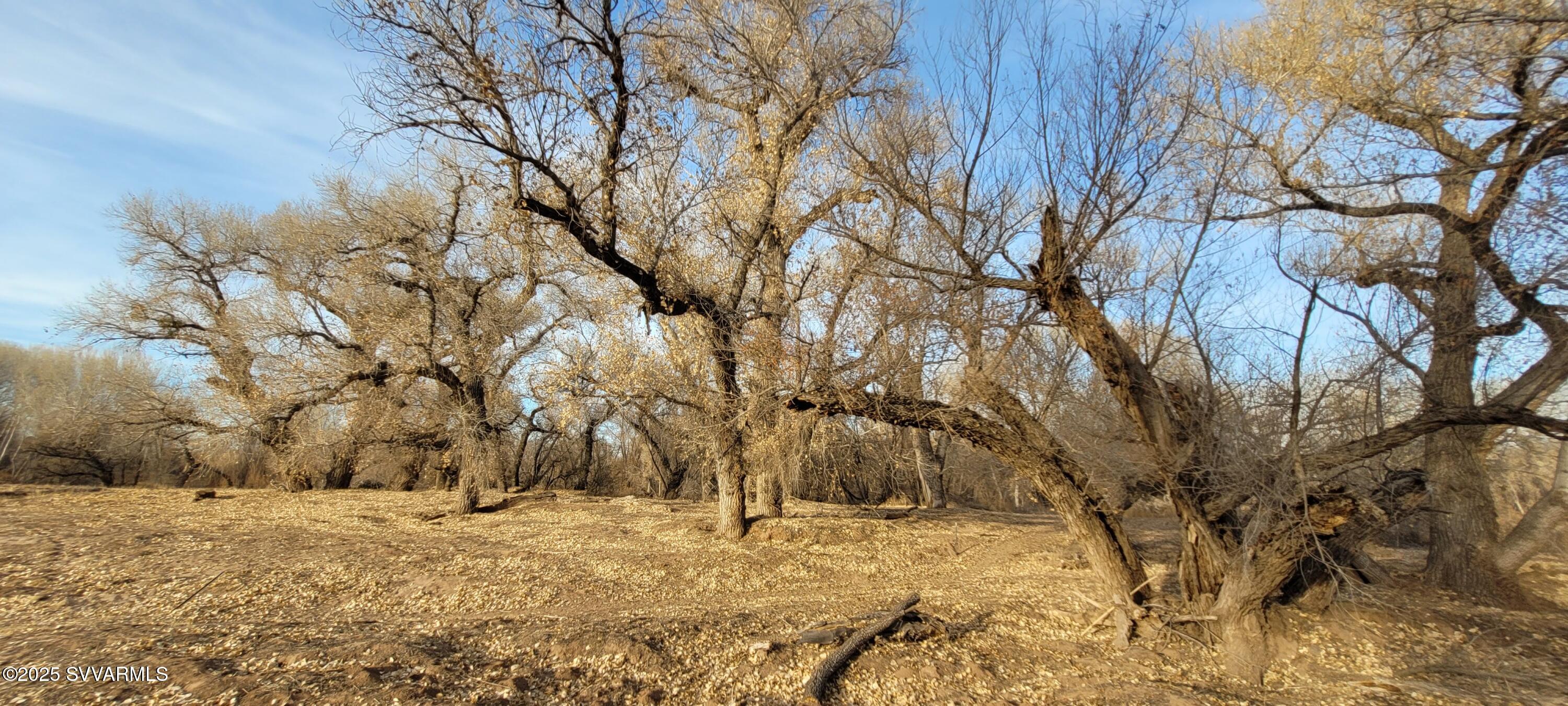 4616 E Comanche Drive