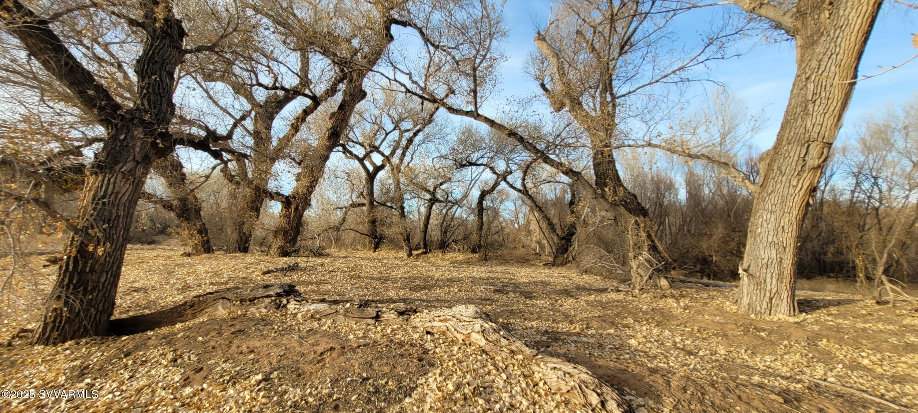 4616 E Comanche Drive