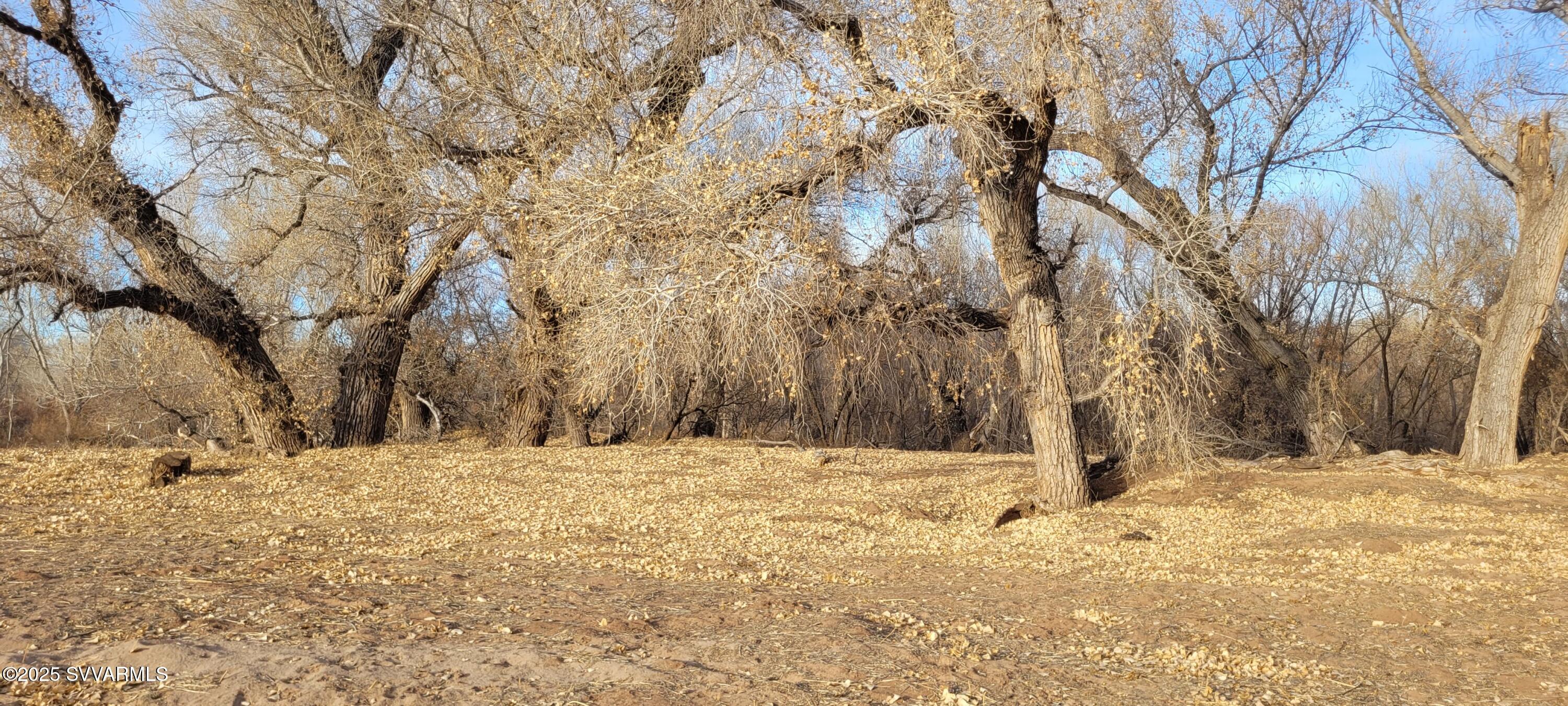 4616 E Comanche Drive