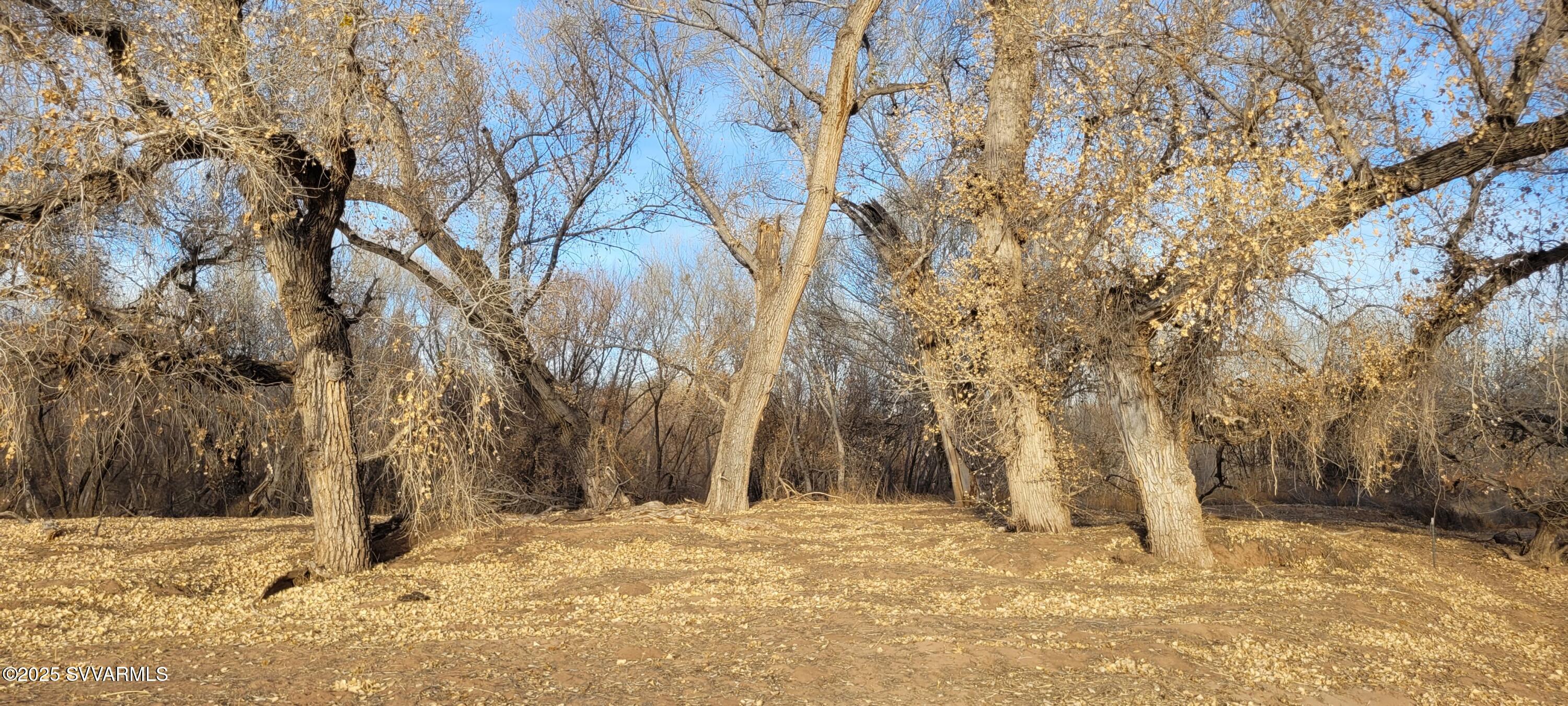 4616 E Comanche Drive