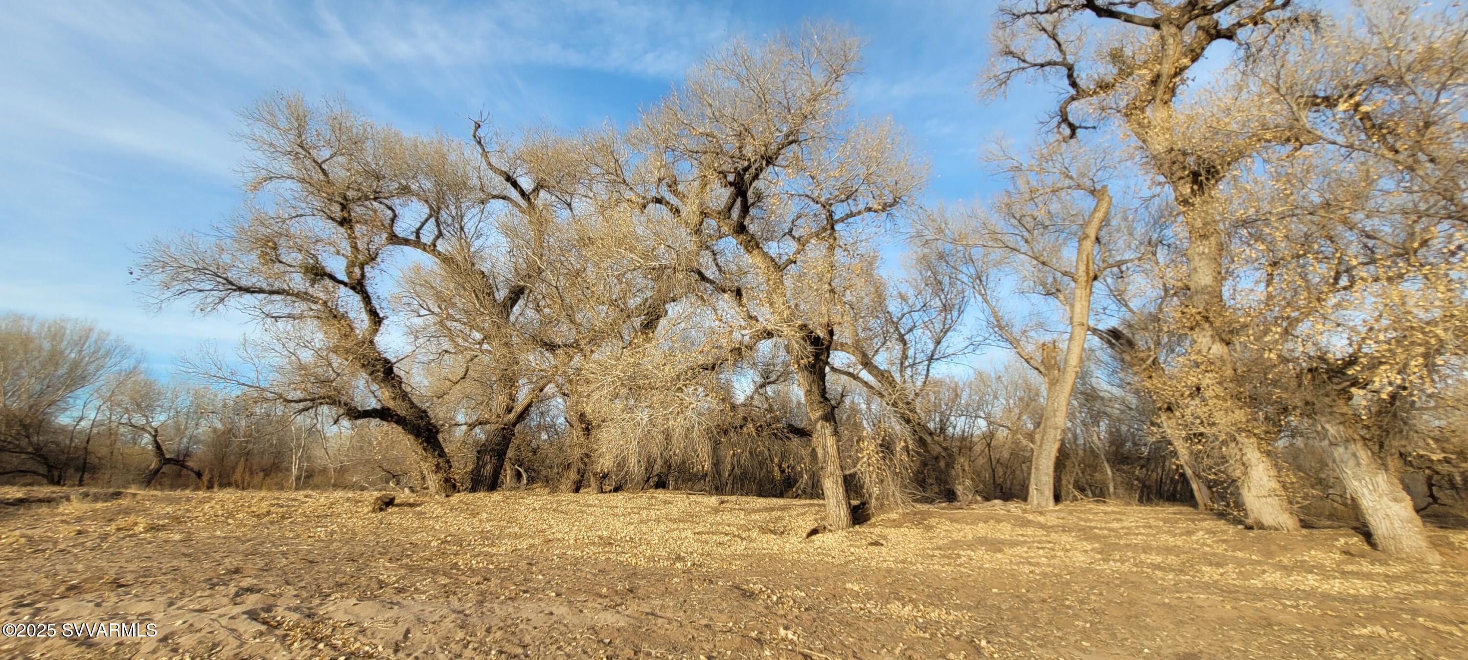 4616 E Comanche Drive