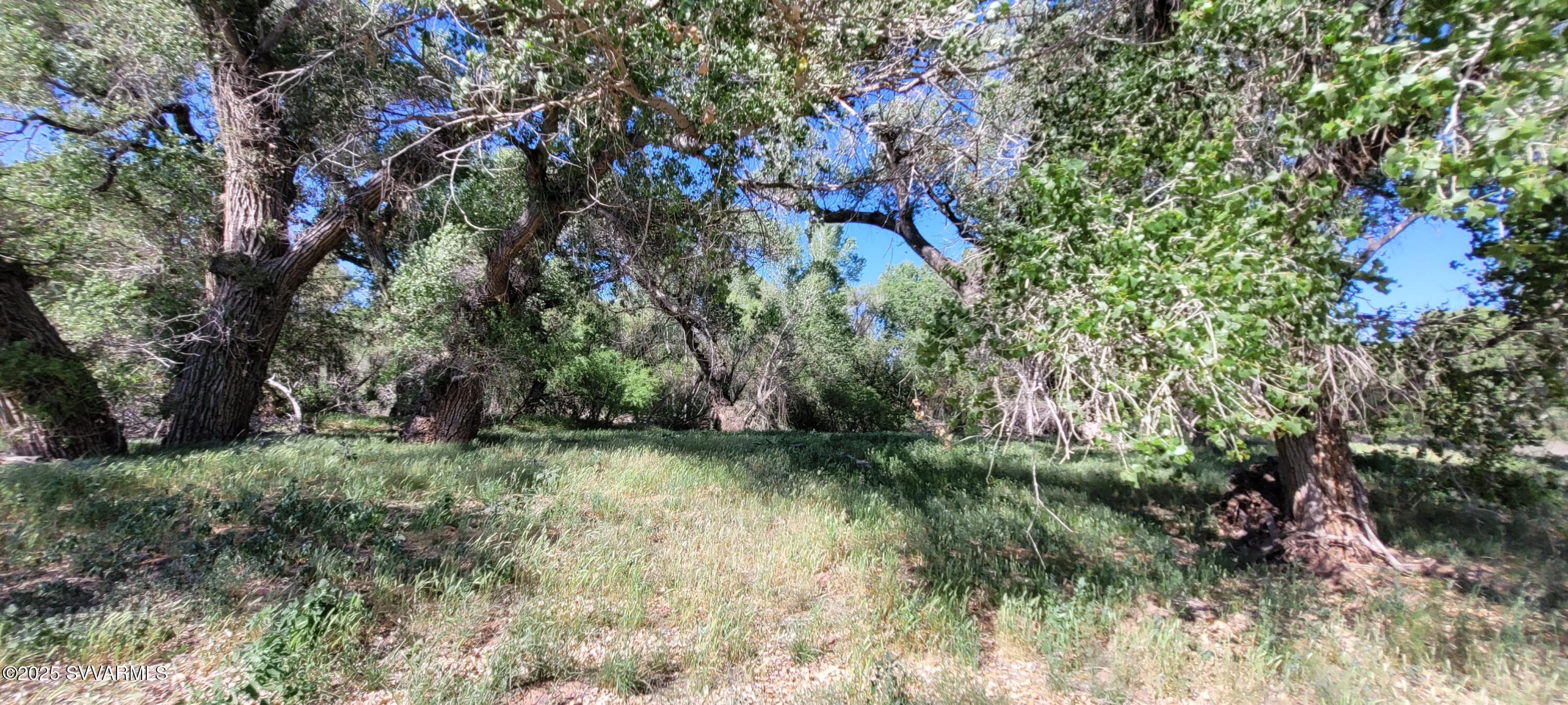 4616 E Comanche Drive