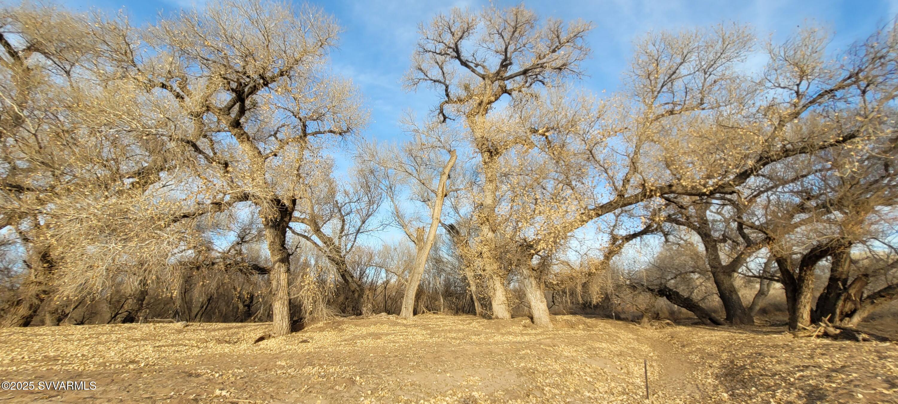 4616 E Comanche Drive