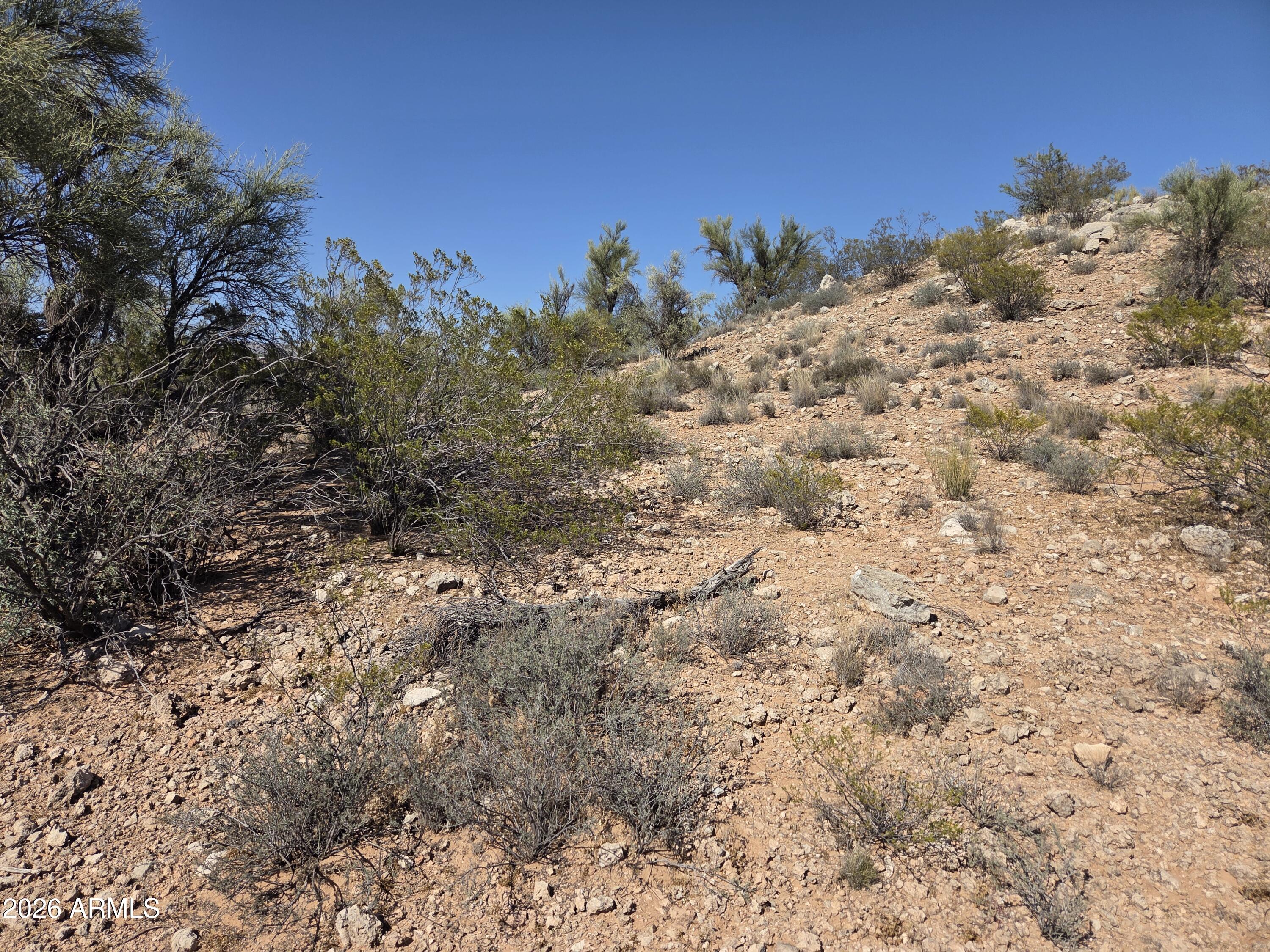 12505 E COVE MESA Road -