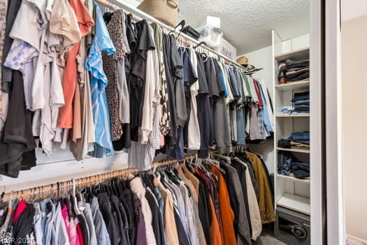 429 Bottle Brush Way