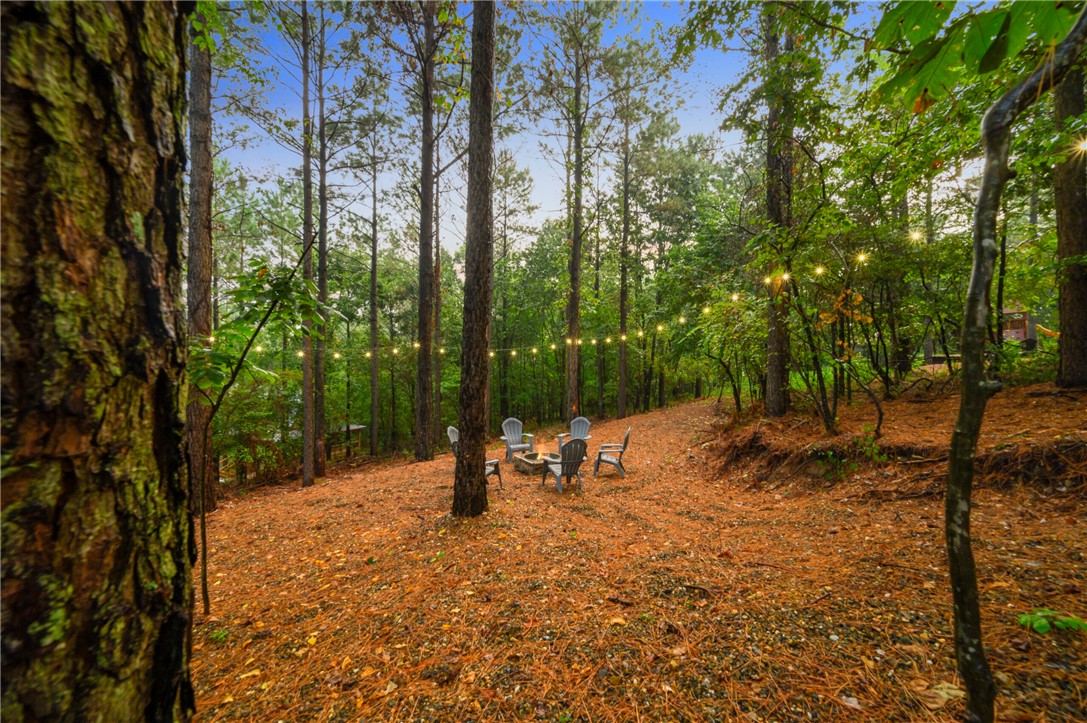 407 Pickleberry Trail