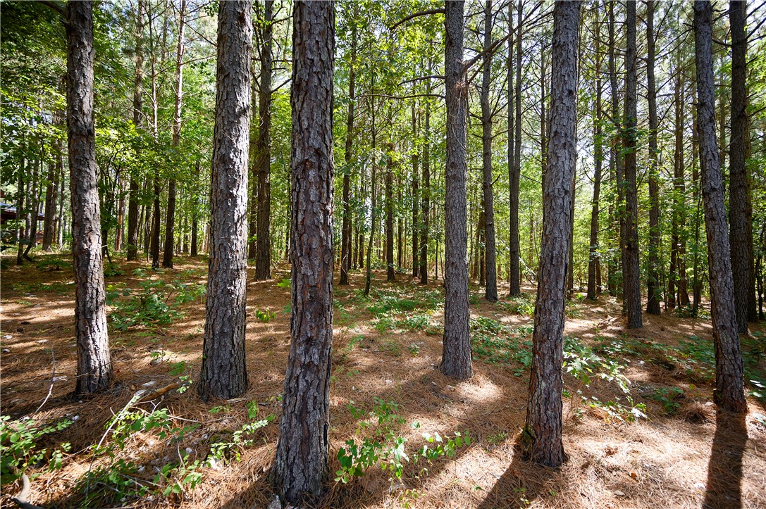 278 lost creek Trail