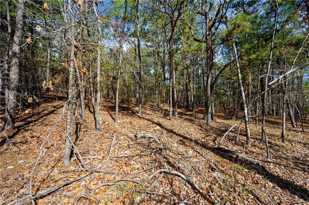 24 Kingfisher Trails Subdivision