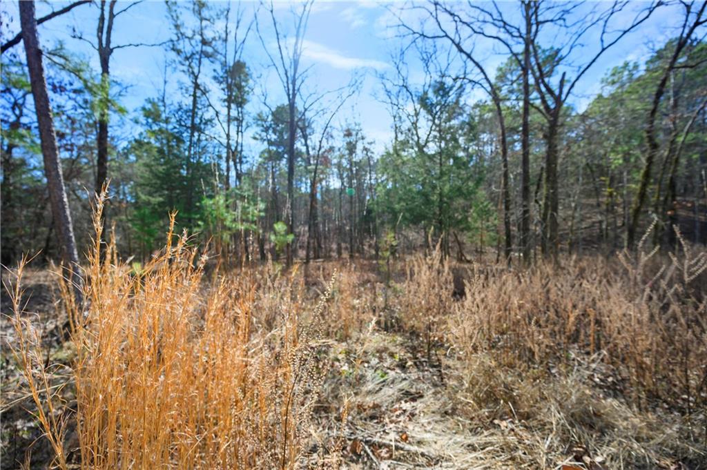 25 Kingfisher Trails Subdivision