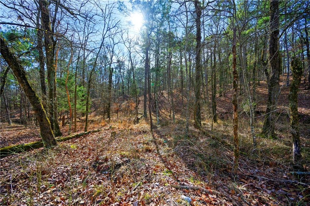 25 Kingfisher Trails Subdivision