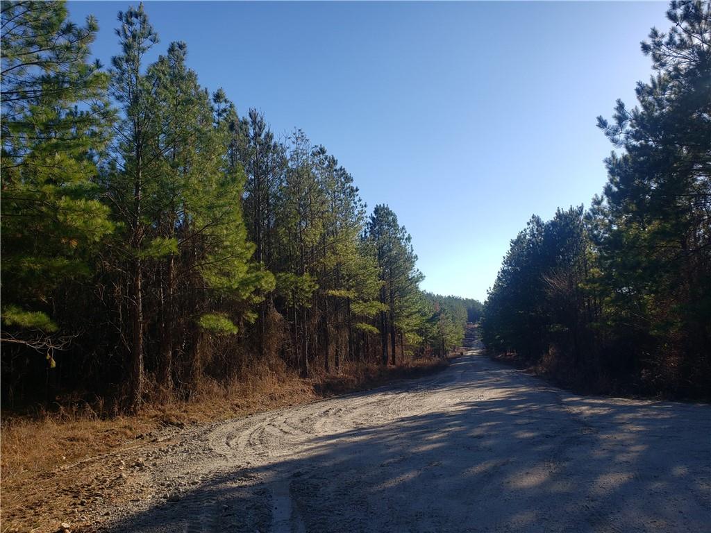 15 Creek Side Trail