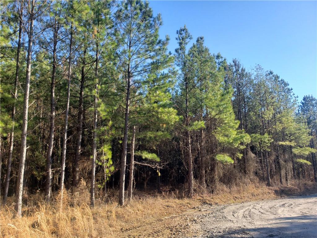 15 Creek Side Trail