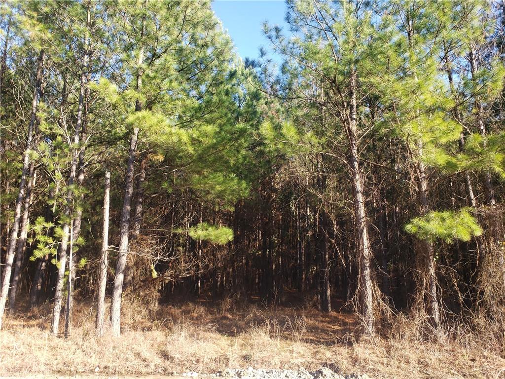 15 Creek Side Trail