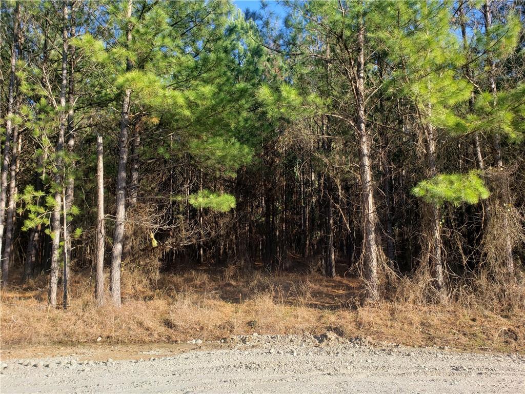 41 Creek Side Trail