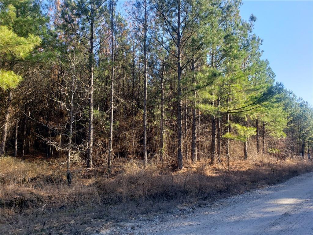 41 Creek Side Trail
