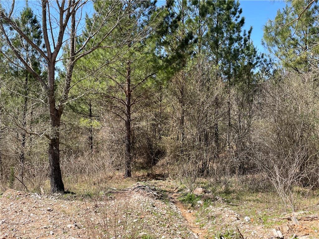 599 Timber Creek