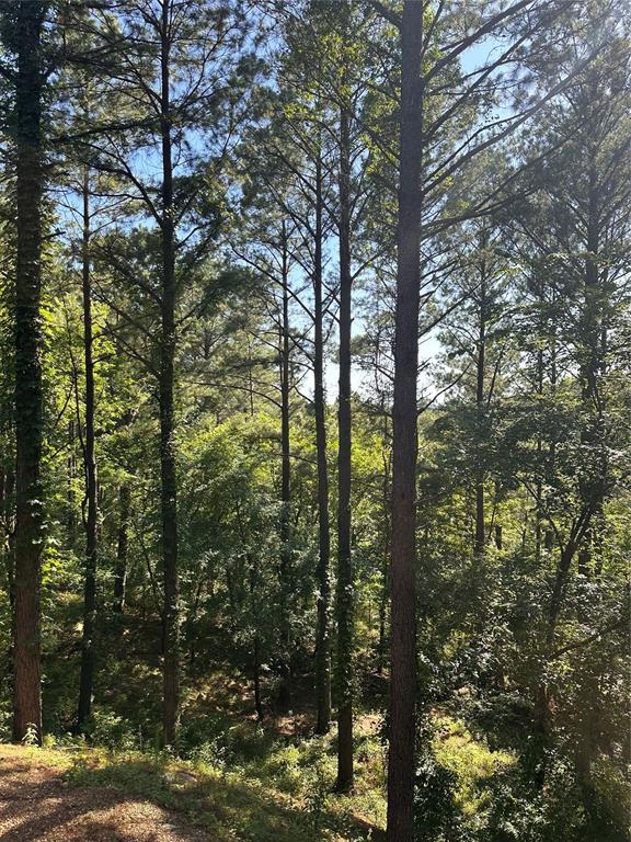 143 Gnarly Maple Trail