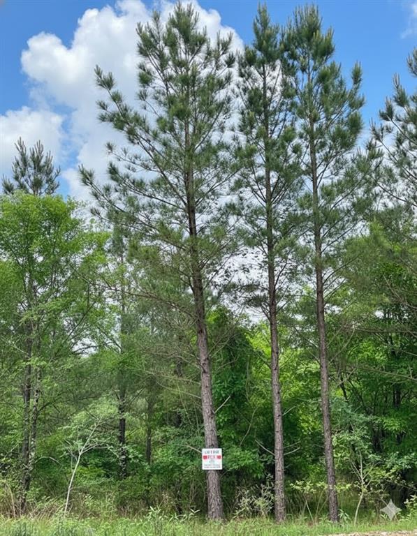 660 Timber Creek Trails South XI