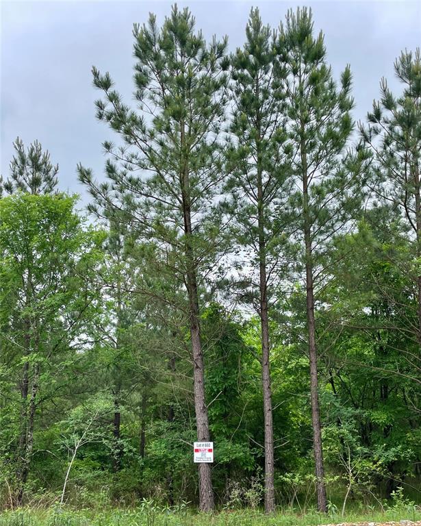 660 Timber Creek Trails South XI