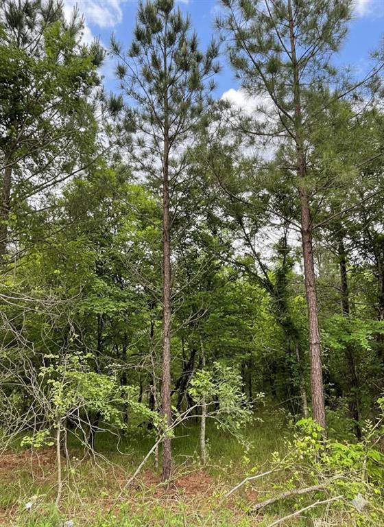 660 Timber Creek Trails South XI