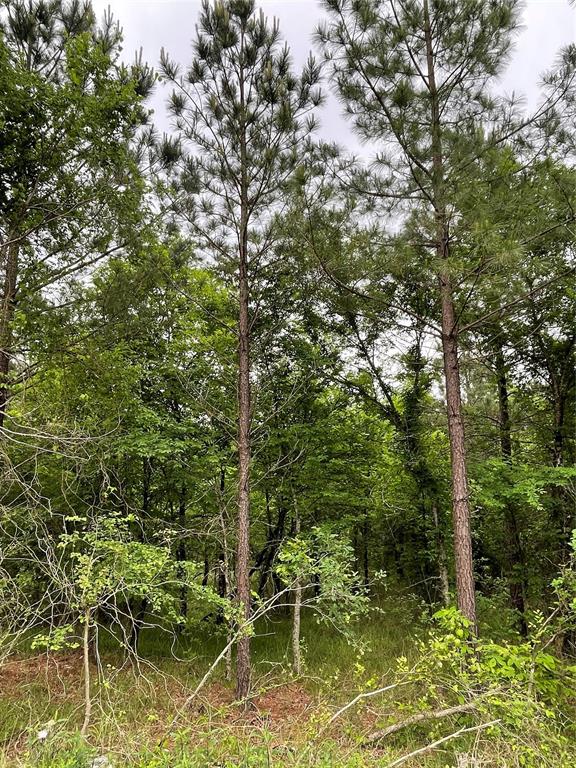660 Timber Creek Trails South XI