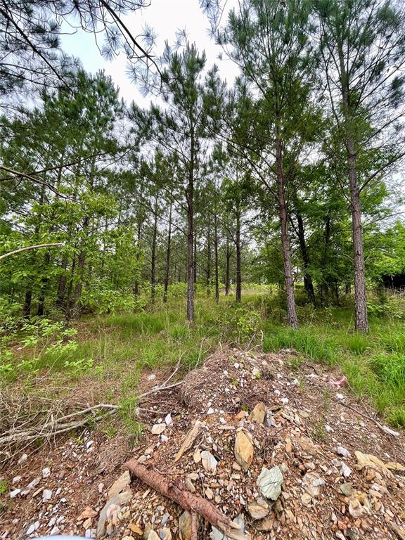 670 Timber Creek Trails South XI