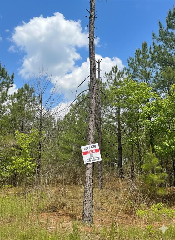 670 Timber Creek Trails South XI