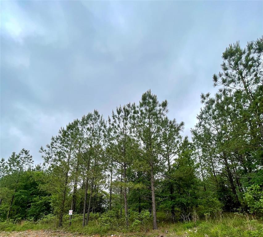 670 Timber Creek Trails South XI