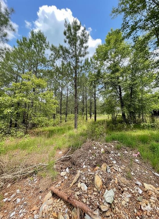 670 Timber Creek Trails South XI