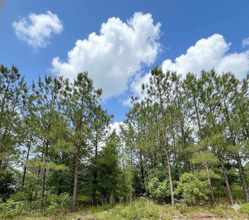 670 Timber Creek Trails South XI