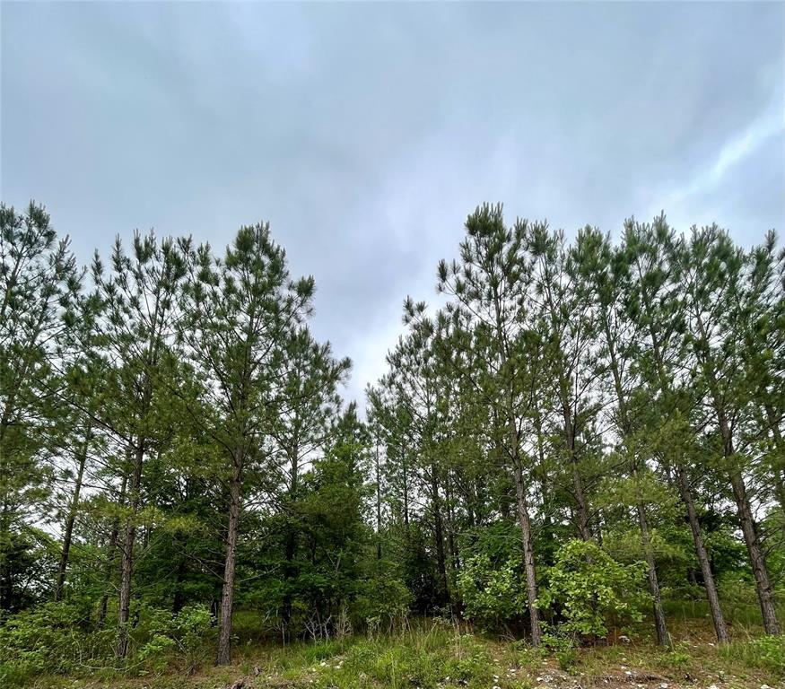 670 Timber Creek Trails South XI