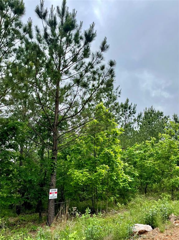 658 Timber Creek Trails South XI