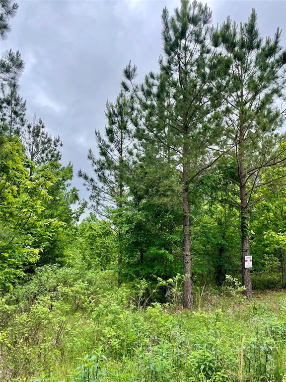 658 Timber Creek Trails South XI