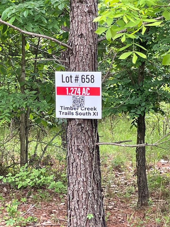 658 Timber Creek Trails South XI