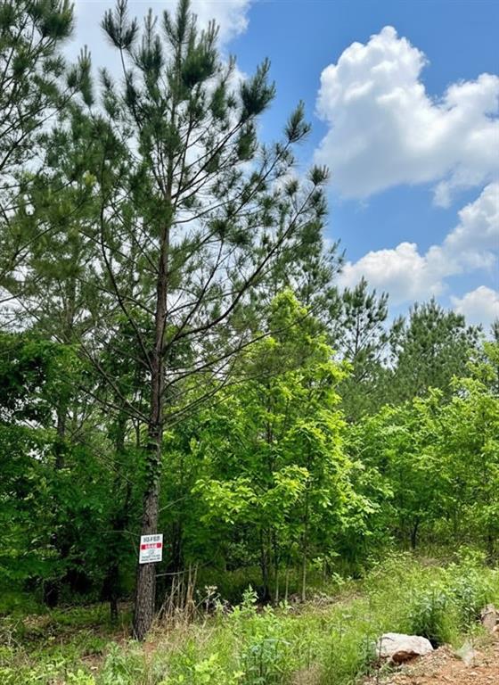 658 Timber Creek Trails South XI