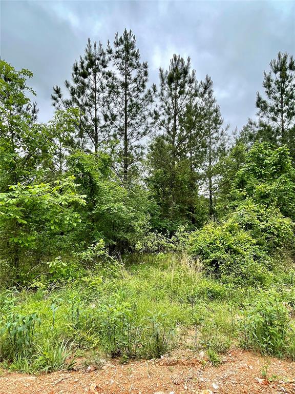 658 Timber Creek Trails South XI