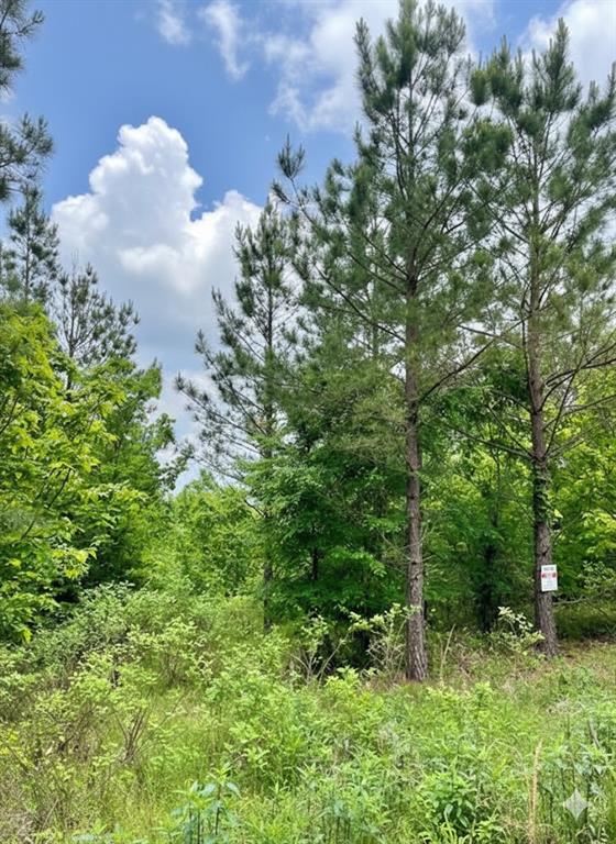 658 Timber Creek Trails South XI