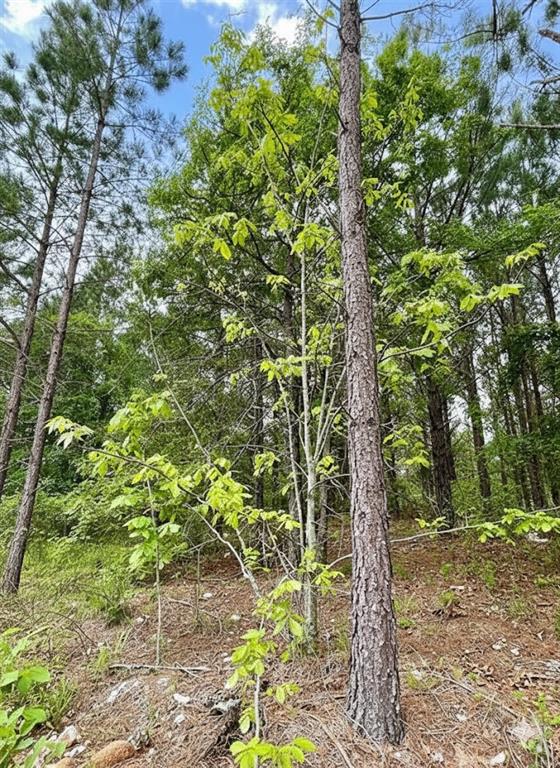 671 Timber Creek Trails South XI