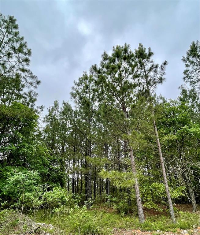 671 Timber Creek Trails South XI