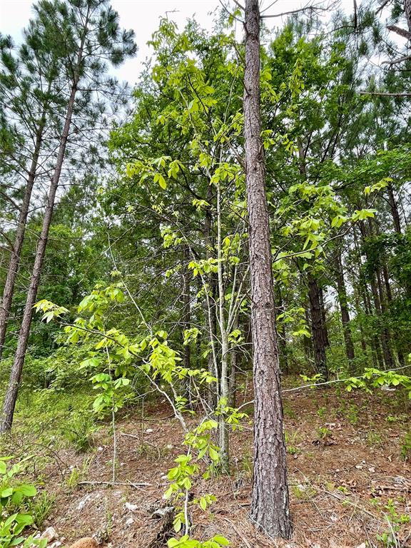 671 Timber Creek Trails South XI