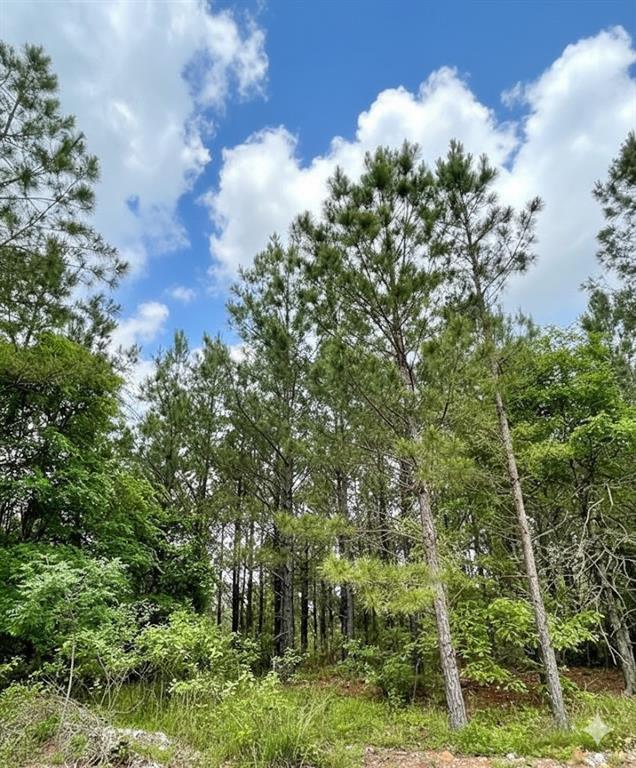 671 Timber Creek Trails South XI